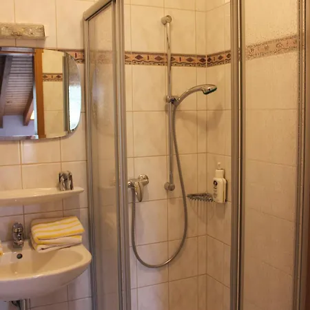 Gasthuis Landgasthof Sauer Willingen (Upland)