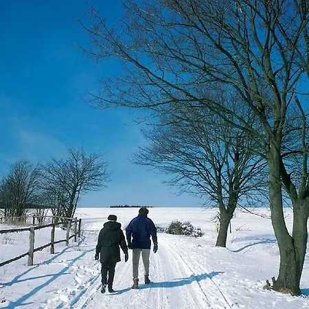 Gasthuis Landgasthof Sauer Willingen (Upland)