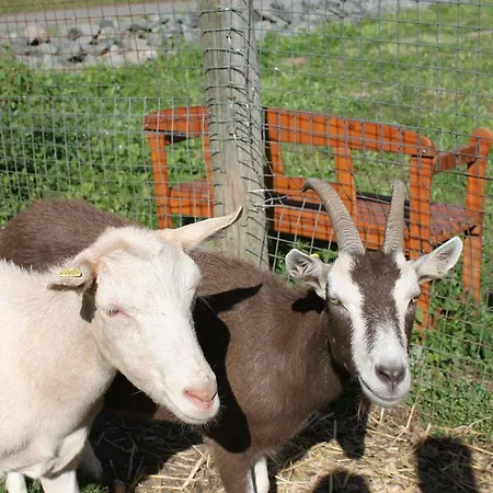 Landgasthof Sauer Gasthuis 3*