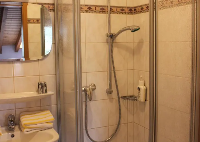 Guest house Landgasthof Sauer Willingen (Upland)