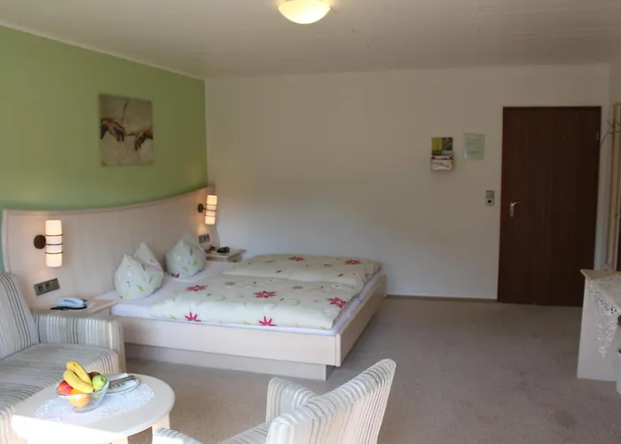 Landgasthof Sauer Guest house Willingen (Upland)