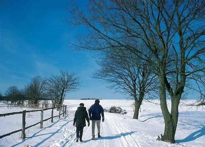 Pensionat Landgasthof Sauer Willingen (Upland)