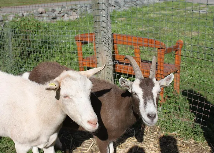 Landgasthof Sauer Pensionat 3*