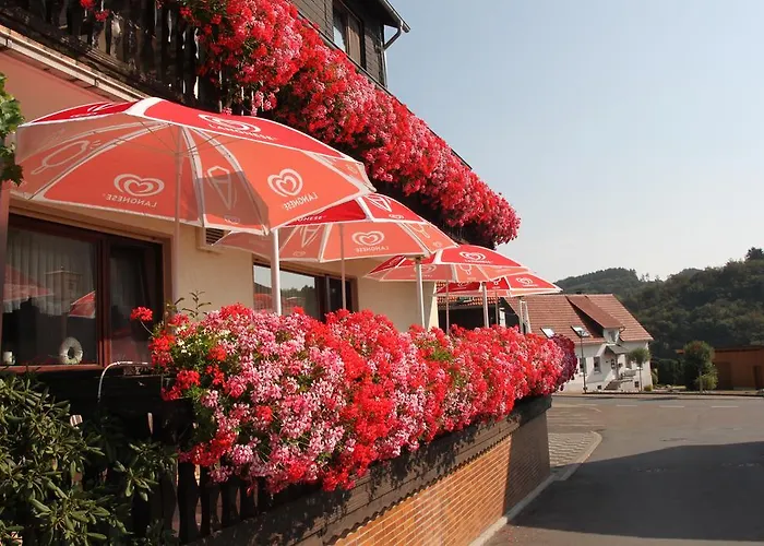 Guest house Landgasthof Sauer