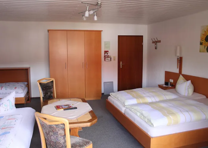Landgasthof Sauer Guest house Willingen (Upland)